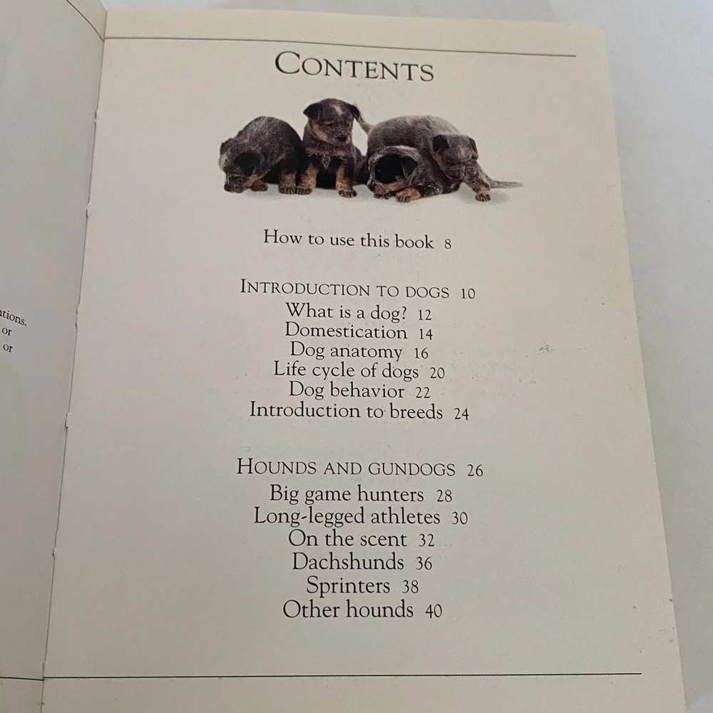 🏷️Pockets Dogs Book — White Cover